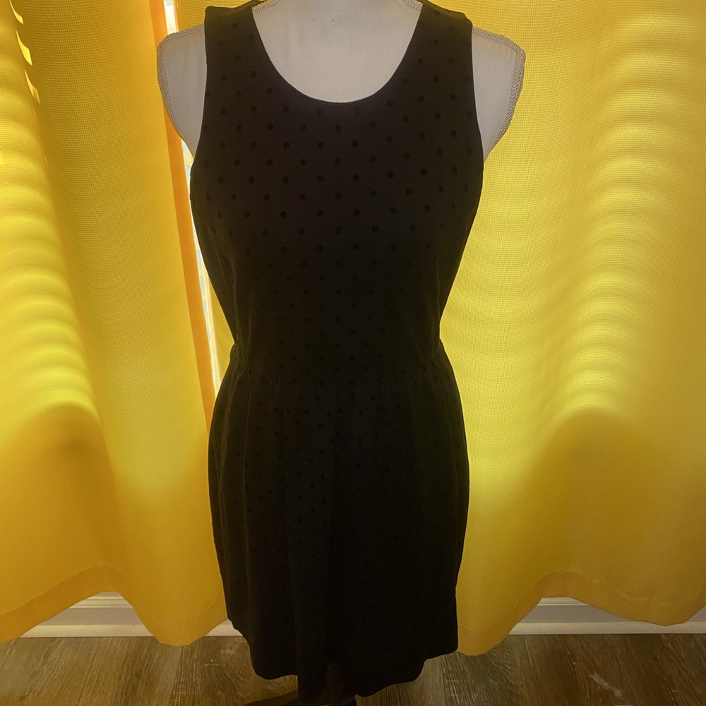 J Crew size small black polka dotted dress